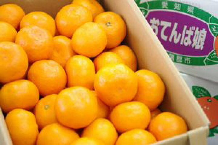 楽天市場 おてんば娘みかん販売 愛知県蒲郡産 お歳暮みかん通販でお取り寄せ 糖度12度以上 5kg 2s l 果物百貨店 浜中屋 楽天市場 おてんば娘みかん販売 愛知県蒲郡産 お歳暮みかん通販でお取り寄せ 糖度12度以上 5kg 2s l 果物百貨店 浜中屋