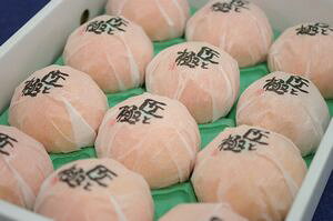 Ƌɂݍg܂ǂȒʐM̔ ΕɈQ[[̗lȐH̊k̔B8ʁ`15