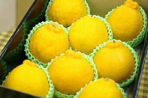 F{fR|ʐM̔ x13x̕sm΁iʂj̔B 7ʁ`9 F{Y