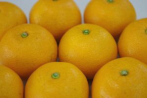 Rǂ̖ؐ͂yь܌i͂jyԏG 3ȏずzʔ̂ŎB 7ʁ`9 a̎RY