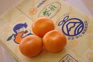 JAO݂_{̔ n݂ʔ̂ŎBG x11xȏ 4kg S`2L É