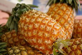 沖縄スナックパイン通信販売 ボゴール種国産パイナップルを販売取寄。5本 沖縄県産
