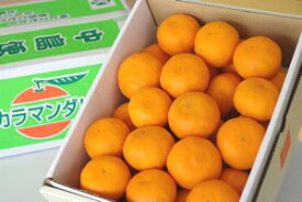 カラマンダリンオレンジ取寄販売 春みかんと呼ばれるカラーを通販で。約5kg S〜2L 愛媛県産