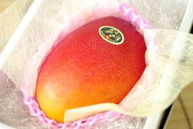 太陽の卵マンゴー通販 宮崎産アップルマンゴー販売。糖度15度以上 大玉1玉