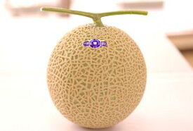 楽天市場 千葉県 梨の通販