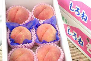 �V�����ʔ� �ꓜ�܁E���N�m���B���x13�x�̂�����̔����B ���� 6��