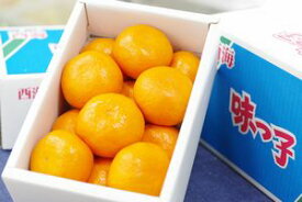 越冬味っ子みかん及び越冬味まるみかん 長崎県西海産 冬のハウス栽培 約2.5kg　約18玉〜約24玉