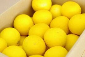 ニューサマーオレンジ取寄販売 小夏・日向夏とも呼ばれる柑橘を通販で。約5kg 愛媛・他産地