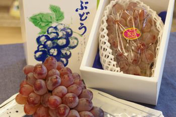 楽天市場】紫苑（しえん）葡萄通販 糖度約18度の岡山県冬ぶどうを販売。大房 1房 約750ｇ : 果物百貨店 浜中屋