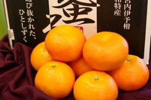  悩@̔ QۓIuḧɗ\ʔ̂ŁB9`10kg QY