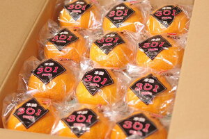 ؏n301fR|̔ ĨfR|ʔ̂Ŏ񂹁B3kg 12`15