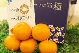 味一みかん「極み」糖度15度以上 化粧箱 約12玉～約15玉 和歌山県