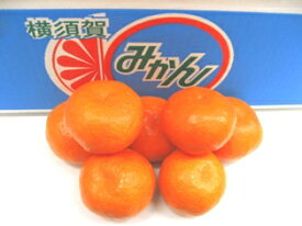 横須賀みかん販売 原田柑橘園完熟ハウスみかんを取り寄せ。神奈川県産 糖度約14度 約5kg S〜L