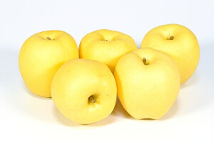 x15xO ͂邩 R`Y Ĕ_Ƃi@5ʁ`8