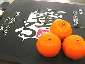 蜜るぽんかん通信販売 愛媛県保内共選ブランドのポンカンを販売取寄。約4・5kg 愛媛産