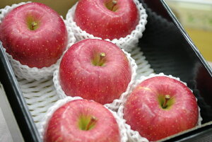 x15xOJAuꍂ@ӂ񂲒ʔ ΕMtg  5ʁ`6