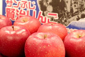 賢治りんご通販 岩手サンふじお歳暮販売 糖度14度以上 JAいわて花巻 小箱 5玉～6玉