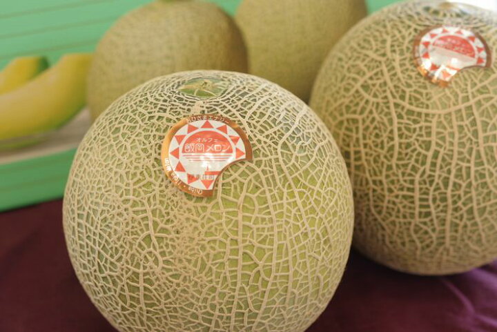 楽天市場】飯岡オルフェメロン通販 千葉県産販売 果肉は緑色 