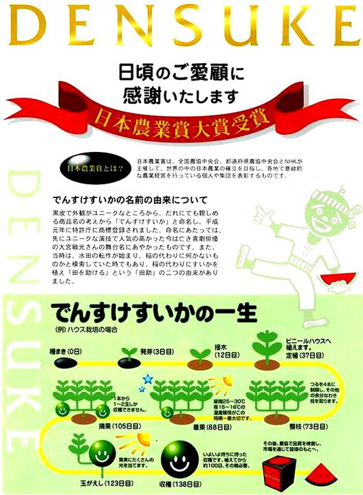 楽天市場 でんすけ西瓜販売 北海道当麻産の黒皮スイカを通販で取寄 秀品1玉 2l 5l 果物百貨店 浜中屋 楽天市場 でんすけ西瓜販売 北海道当麻産の黒皮スイカを通販で取寄 秀品1玉 2l 5l 果物百貨店 浜中屋