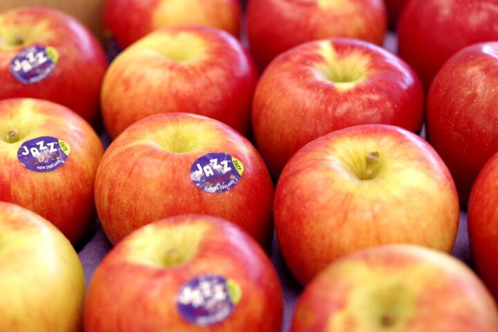 楽天市場 Jazzりんご販売 ニュージーランド産ジャズ林檎を通販で取寄 約3ｋ 約18玉前後 果物百貨店 浜中屋