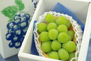 ΕVC}XJbgԂǂʔ 12̓~MtgɒY̔BEYn 1[ 500g