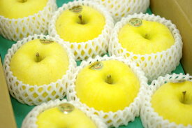 プレミアム　冬恋 はるかりんご通信販売 岩手県お歳暮りんご糖度16度以上を販売取寄。約7玉〜約9玉