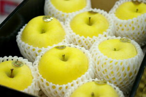 ͂邩񂲂Εʔ̊茧Y ͂邩̔ x14xȏI