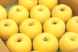 はるかりんごお歳暮ギフト通信販売 岩手県産 純情はるかお取り寄せ 糖度14度以上！