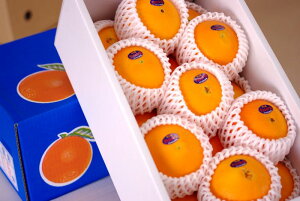 fbVl[uIW@QY@5kg 16ʁ`24