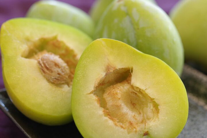 楽天市場】ケルシープラム通販 幻のグリーンすもも李を販売取寄。約10  