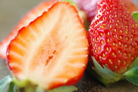 山形県産 いちご販売 苺の通販。おとめ心・かなみひめ・2パック入 苺の品種指定できません