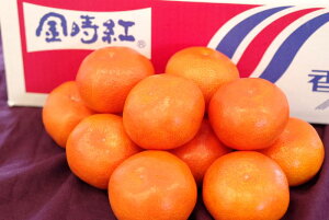 金時紅みかん通信販売 お歳暮香川県みかんに。小原紅早生は果皮・果肉も紅色 約5kg