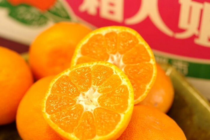 楽天市場 箱入娘みかん販売 愛知県蒲郡産 お歳暮みかん通販でお取り寄せ 糖度12度以上 5kg 2s l 果物百貨店 浜中屋 楽天市場 箱入娘みかん販売 愛知県蒲郡産 お歳暮みかん通販でお取り寄せ 糖度12度以上 5kg 2s l 果物百貨店 浜中屋