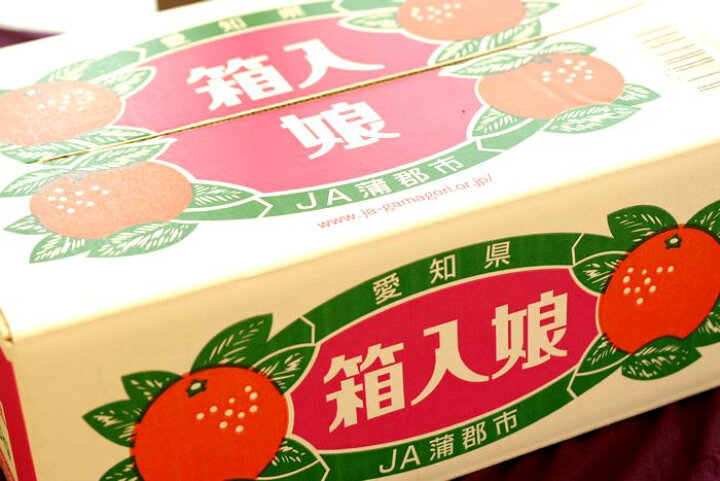 楽天市場 箱入娘みかん販売 愛知県蒲郡産 お歳暮みかん通販でお取り寄せ 糖度12度以上 5kg 2s l 果物百貨店 浜中屋 楽天市場 箱入娘みかん販売 愛知県蒲郡産 お歳暮みかん通販でお取り寄せ 糖度12度以上 5kg 2s l 果物百貨店 浜中屋