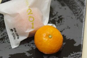 x15xzIue݂ ؏n201 ܓ 1.2kg 12ʁ`15 I݂ a̎R ΕMtg