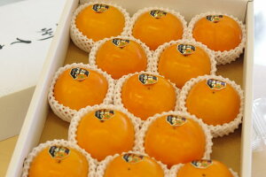 �I�B�Ă܂�` ��3.5kg ��10�ʁ`��14�� �a�̎R��