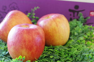  x14xuvB}ь 茧Y  7ʁ`11