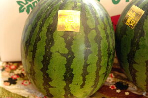 ���F�����X�C�J ���񂶂��炨�� ���c ������ 2�� L�`4L �ɊÐ��Z ��t�E�F�{�E���Y�n