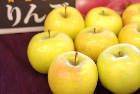 こうこうりんご　蜜入林檎で希少な品種 糖度約15度 5kg 約12玉〜約18玉 青森・他産地の通信販売 時間が経つと蜜は消えていきます