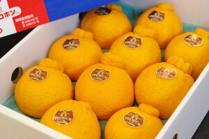 v~A fR|x14xȏ F{Y 3kg 7`12