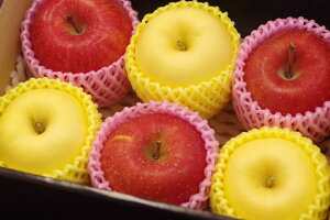 Ε މVN gl ӂ3 ͂邩3 pь