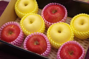 Ε މVN gl ӂ4 ͂邩4 pь