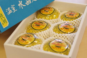 水晶文旦 温室 愛知県伊良湖産 約2kg 約5〜6玉