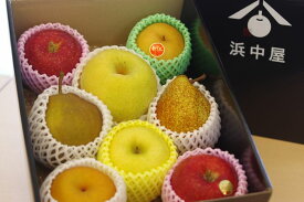 御見舞果物の通販。お見舞いフルーツセットを販売全国宅配。小箱タイプ 熨斗・到着指定日対応