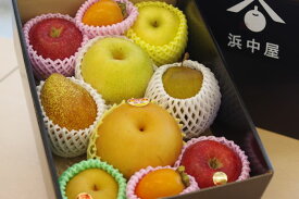 御見舞果物の通信販売。お見舞いフルーツセットを販売全国宅配。中箱タイプ 熨斗・到着指定日対応