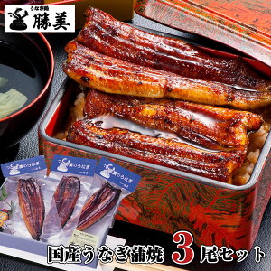 Ȃ Y  170g-180g×3Zbg (^ERt) Ε Ε Mtg v[g Mtg ґMtg 蕨 a 蕨   EiM V unagi YȂ YEiM Ȃ