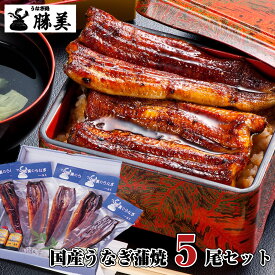 【最大200円OFFクーポン有】お歳暮 ギフトうなぎ 国産 蒲焼き 170g-180g×5尾セット (タレ・山椒付) 御歳暮 プレゼント 高級 贅沢 贈り物 浜名湖 送料無料 内祝 御祝 誕生日 特大 勝美 鰻 ウナギ unagi 国産うなぎ 国産ウナギ うなぎ蒲焼き 蒲焼 鰻蒲焼 ウナギ蒲焼