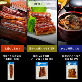 父の日 うなぎ 国産 蒲焼き 選べる2種 3種セット (タレ、山椒付) ギフト プレゼント お中元 母の日 勝美 長焼き ハーフカット きざみうなぎ 食品 食べ物 誕生日 贈り物 お返し 御礼 お祝 内祝 カット 鰻 ウナギ unagi きざみ鰻 蒲焼 浜名湖