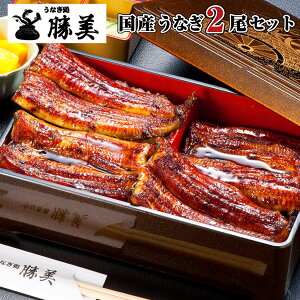 Ȃ Y Ă 170g-180g×2Zbg (^ERt) Ε Ε Mtg v[g Mtg ґMtg 蕨 l  j j a   V EiM unagi Y