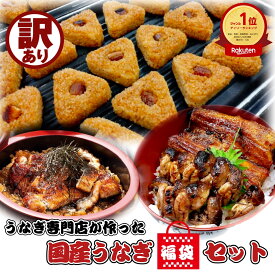 うなぎ 国産 訳あり 福袋セット 食品 フードロス 勝美 4種詰め合わせ 計870g カット蒲焼(80g) きざみうなぎ(90g) うなぎおにぎり(100g×5) 肝焼き(100g×2) 真空パック 鰻 ウナギ unagi 浜名湖 浜松 蒲焼き 冷凍食品